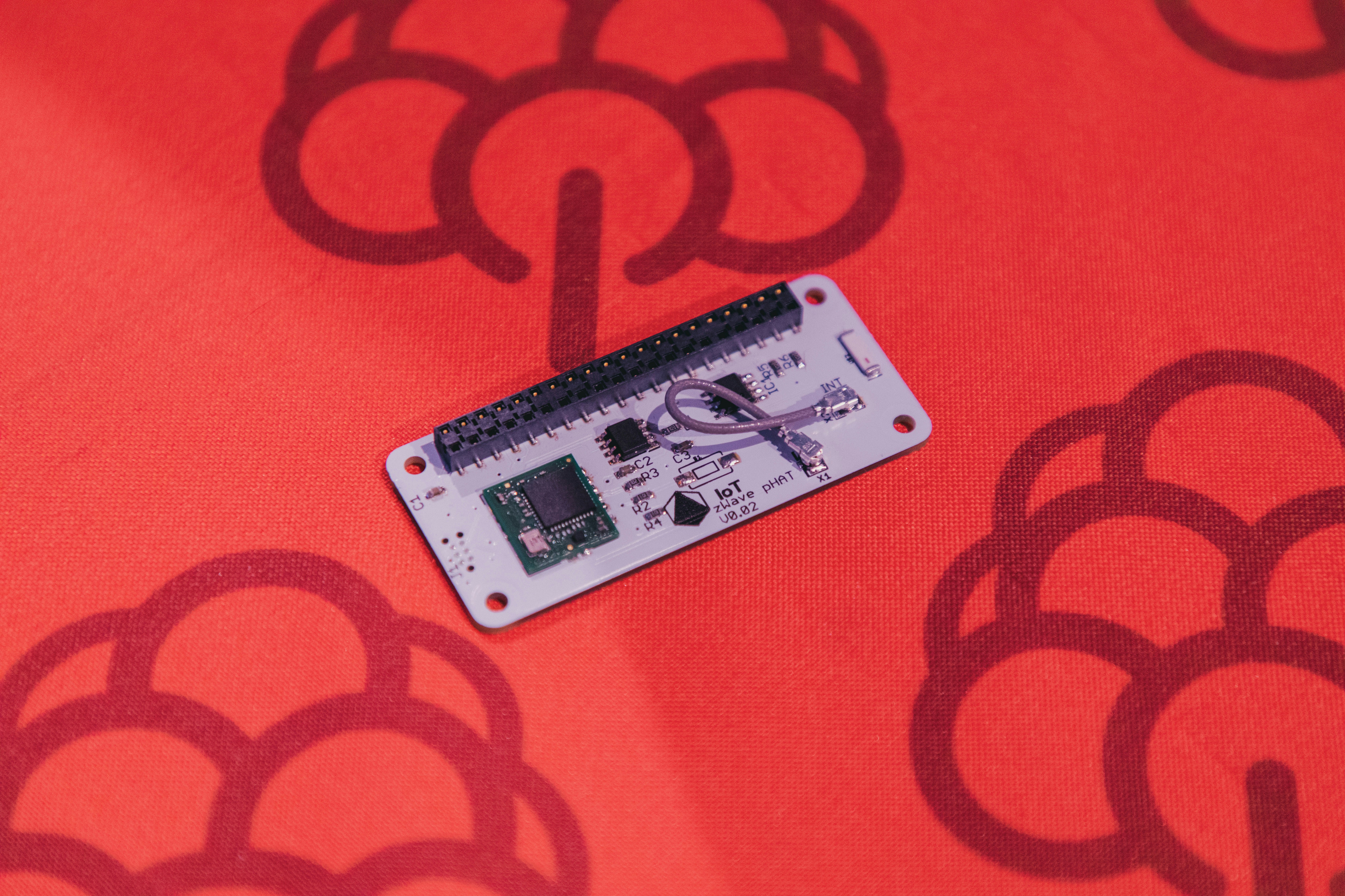 white and black card on red textile